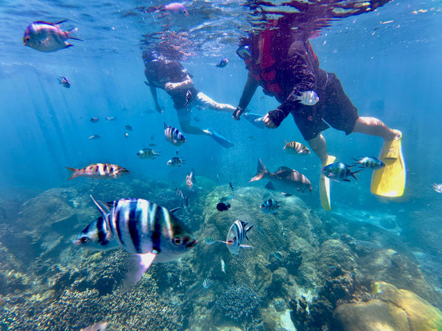 �}�����K�C�h�C��(����Ԃ�)