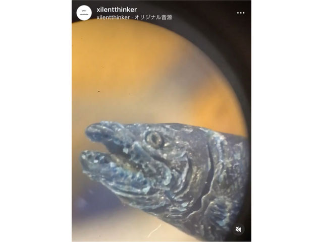 ���b�N�X�ō��𐻍�B�吳����Ɋ��􂵂��A��ƁA�����R��ɐG�����ꐻ�삵�܂����B
���b�N�X���ƁA�ׂ������̂����܂��B_xilentthinker