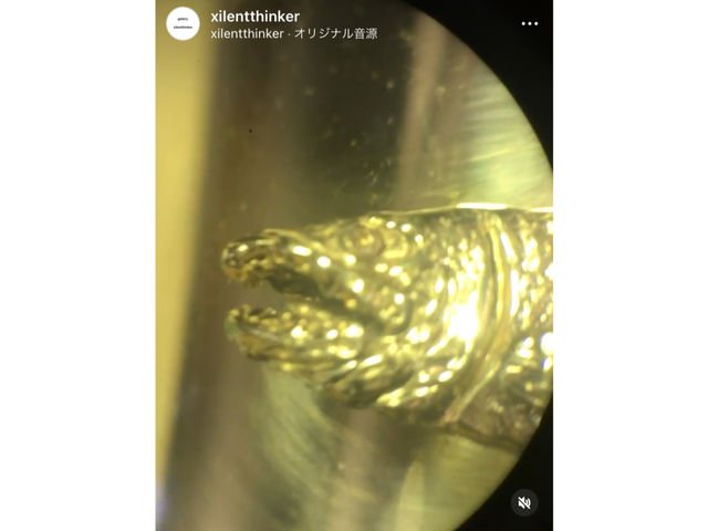 ������́A���ł��B���ׂ�܂���B��_xilentthinker