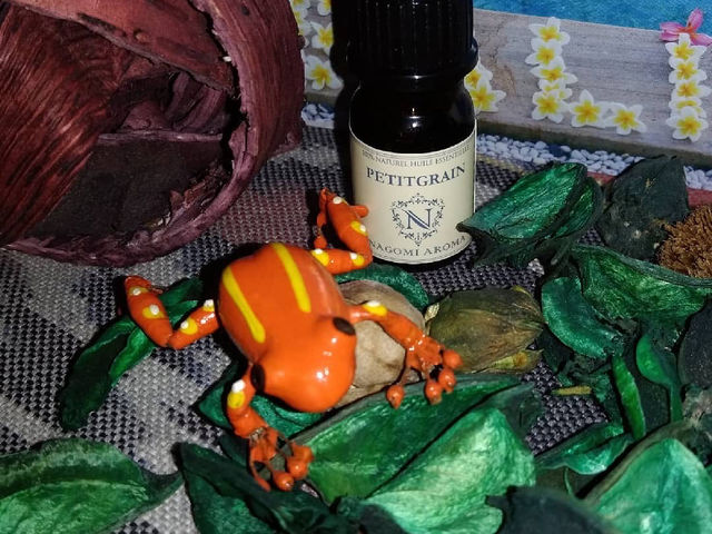 ��՗� ���y