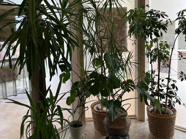 ��՗� ���y