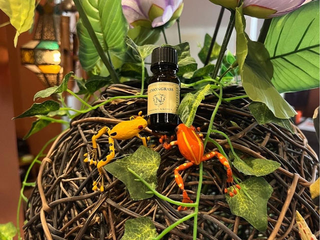 ��՗� ���y