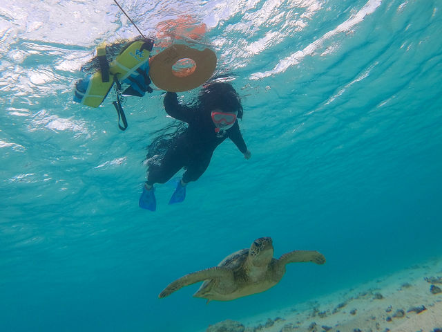 �j�������ȕ��ł��K�C�h�����J�Ƀ��N�`���[�v���܂��I_���񂴂ɂ{�Ó�