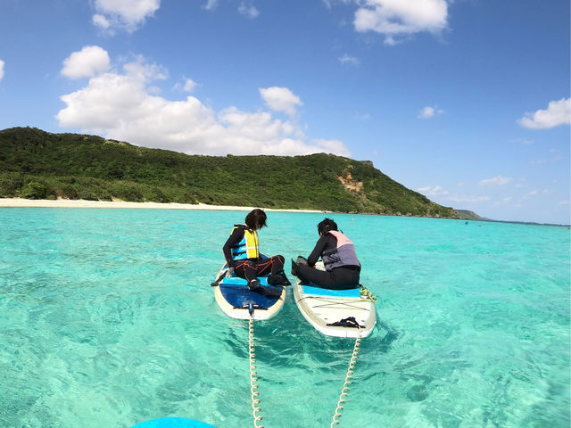 �L���L���P���C�̏�ŋ{�Ó��̑厩�R�������܂��傤��_���񂴂ɂ{�Ó�