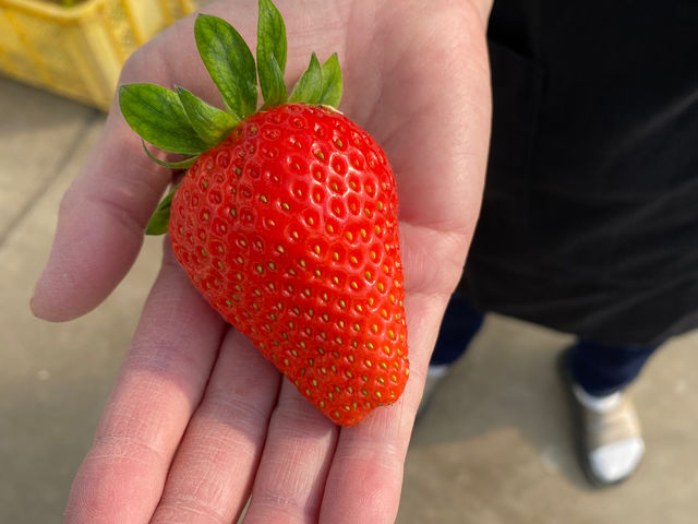 12��ނ̂����������y���݂��������܂��I_���b�`�t�B�[���h�Ó�_��