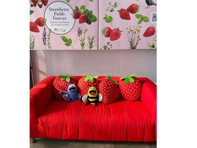 �Y��ȑҍ����I�t�H�g�X�|�b�g
�E�F���J���h�����N�����p�ӂ��Ă���܂��B_���b�`�t�B�[���h�Ó�_��