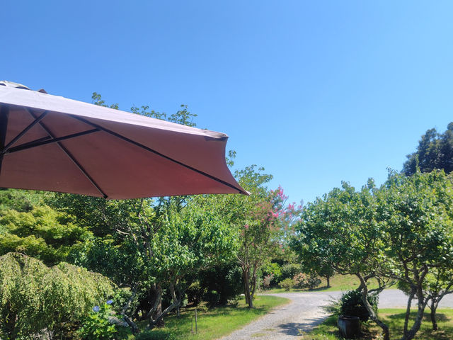 �X������݂����@�~�̖؂���R����܂��B
���_��̔~�W���[�X���������܂��B_�x�l�`�A���K���X�J�t�F ���̉�