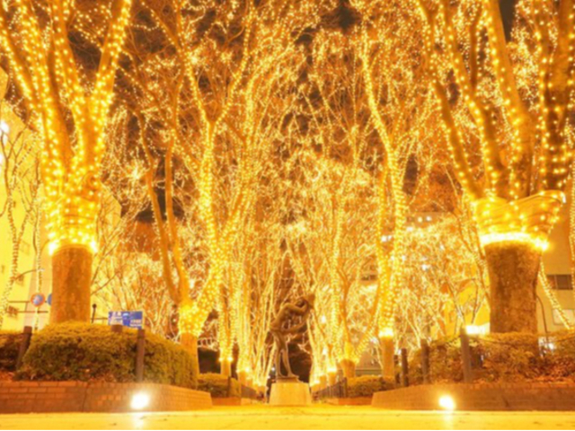 SENDAĨy[WFg2025N125()`28() 24ԂɊJÂ܂BAgG̑炯₫؂܂B_S shinryoku