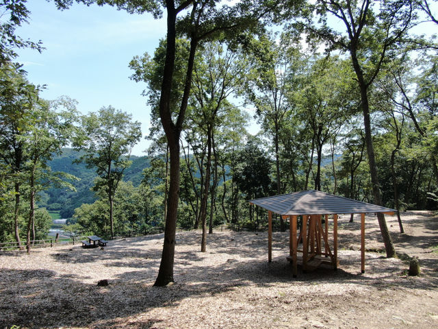 ���������R����