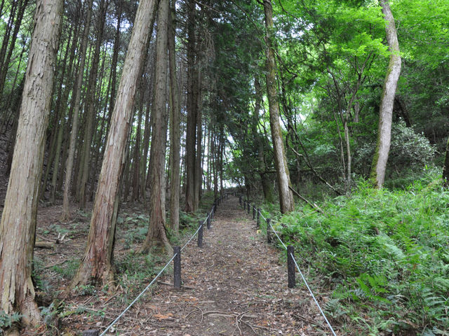 ���������R����