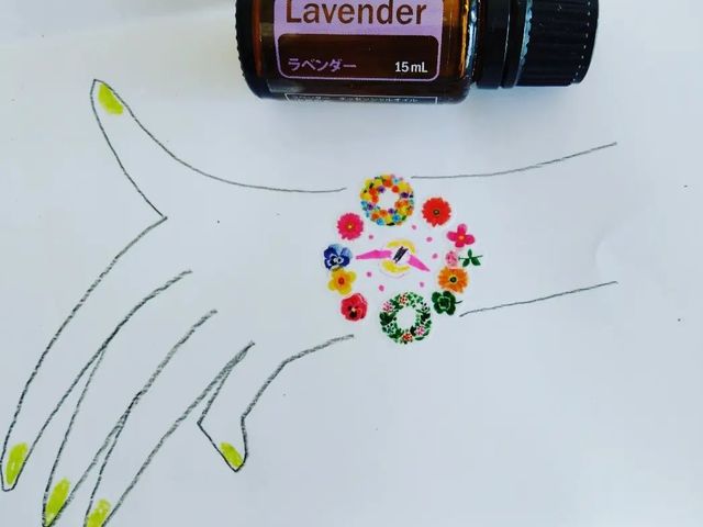 ���x���_�[�͂�������̎g�������y���߂܂��B_�v�v�q