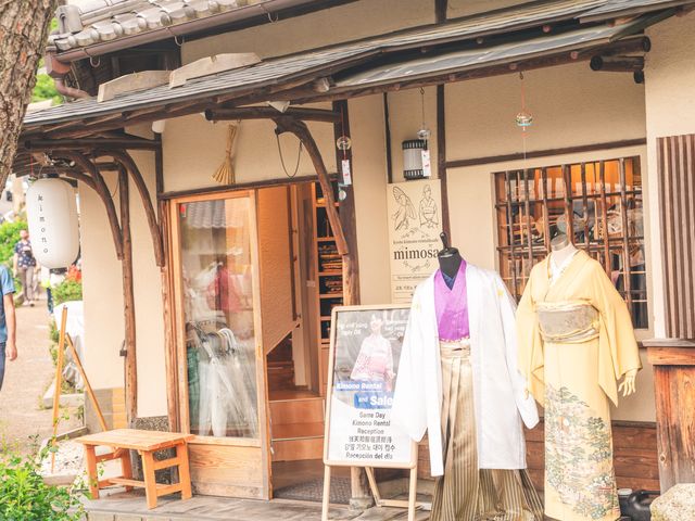 s^ mimosa 䎛X̎ʐ^1