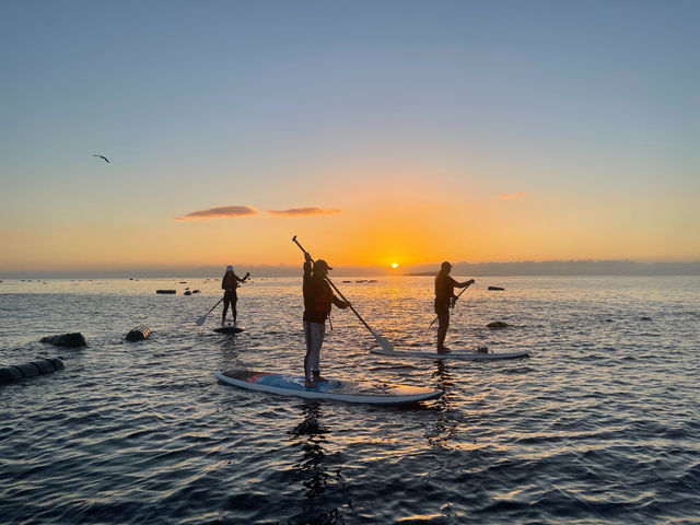 �������C�Ɉ͂܂ꂽ���ŁA���R�𑶕��Ɋ����Ȃ����SUP�́A�S������f���炵���̌��ł��B���ɃT�����C�Y�̎��ԑт́A���z�I�Ȍi�F���y���ނ��Ƃ��ł��܂�_�C�̉��F