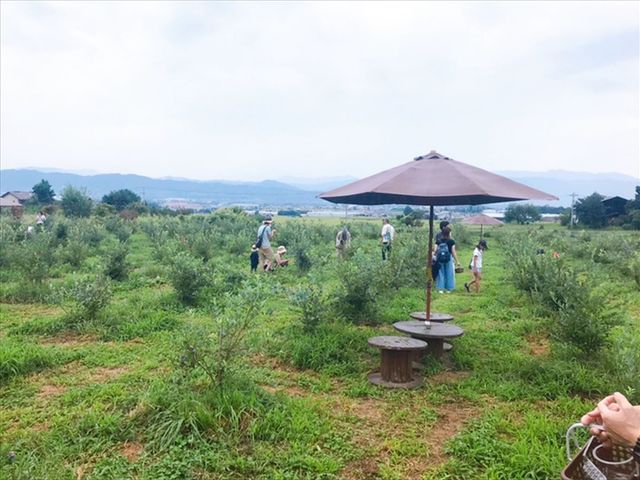 �u���[�x���[�̐X�@���Â݂�