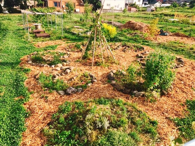 �~�`�̃n�[�u��_�u���[�x���[�̐X�@���Â݂�