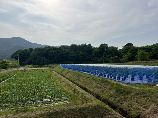 �u���[�x���[�_�� �ӂ�����[��