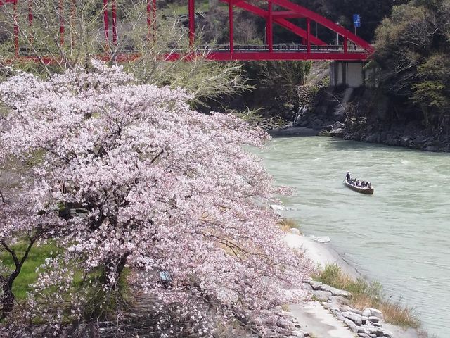 �V����a�D����