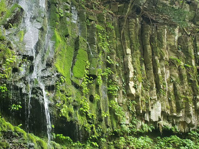 ������̒���ߗ� �h�� �A�N�e�B�u�ᕗ����Г��k���Q�O���̃g���b�L���O�R�[�X ������R�Om ������T�Om_�A�N�e�B�u�ᕗ