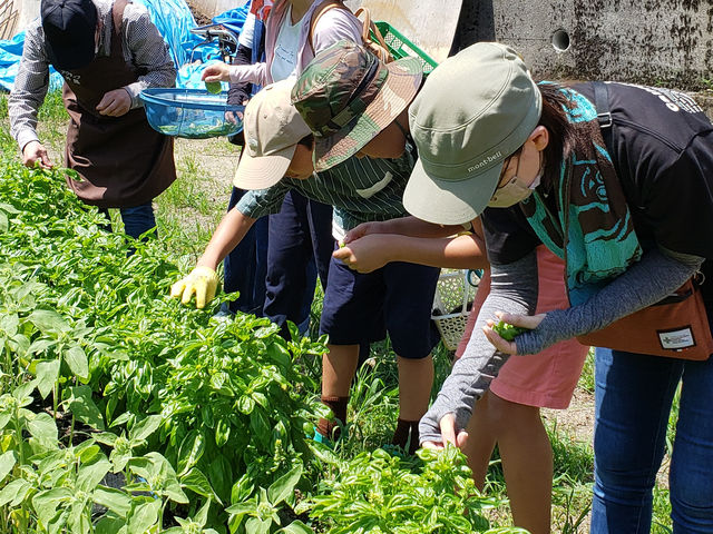 ����ǂ��o�W���̎��n�I_�A�N�e�B�u�ᕗ