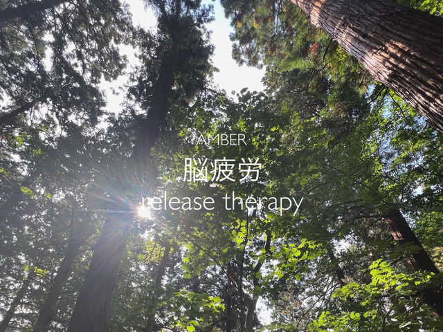 �]��J�����[�X�Z���s�[�B�X�g���X�������Ă�����ɂ͑�σI�X�X���̃��j���[�ł��B_AMBER