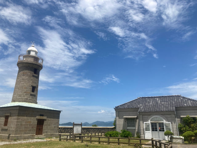 ���g�����_���Ȓj�ؓ�����Ǝ�����_�ۂƑ��z��