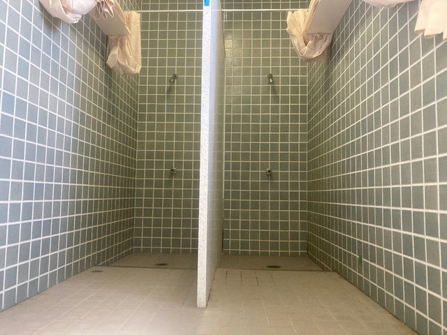 �j�ؓ�����̃V�����[���[��_�ۂƑ��z��