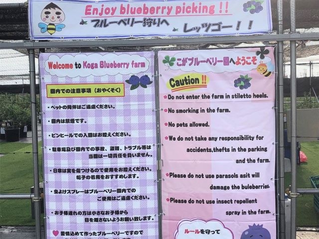 �����u���[�x���[��