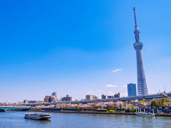CRUISE ME p`[^[N[Y̎ʐ^1