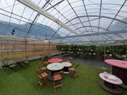 �x���[�p�[�N���s�Ђ悵�R�̉Ƃ̎ʐ^4