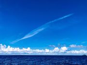 Okinawa Show Marine̎ʐ^2