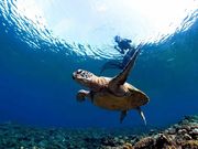 Okinawa Show Marine̎ʐ^4