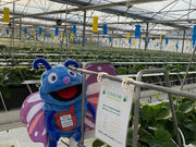 ���b�`�t�B�[���h�Ó�_��̎ʐ^4