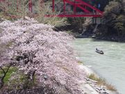 �V����a�D����̎ʐ^4