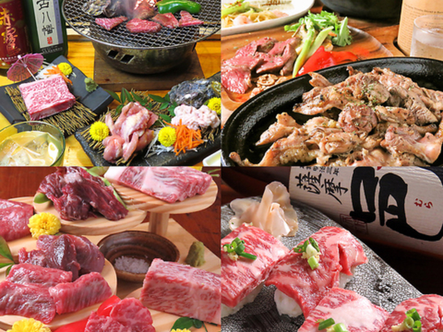 ������ �J�R �x�̎ʐ^1