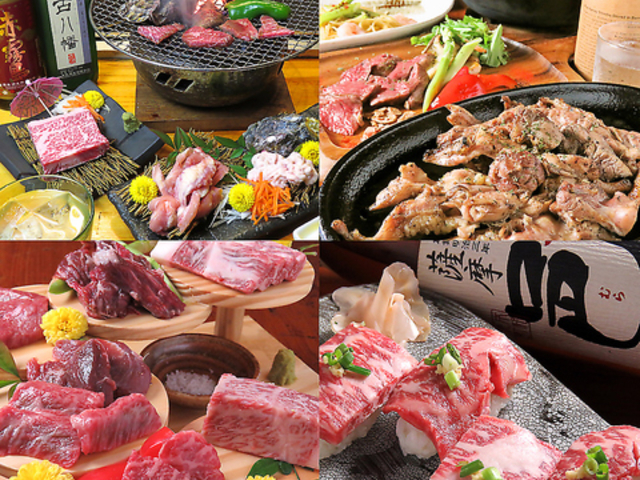 ������ �J�R �x�̎ʐ^1