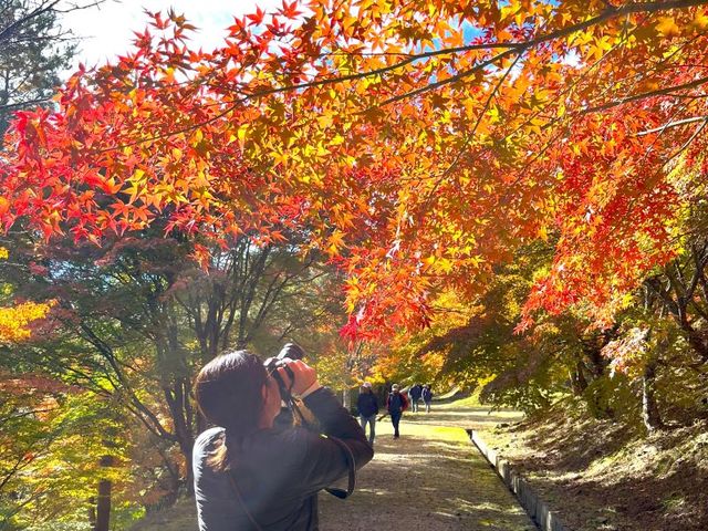 konomi no guide | matsumoto