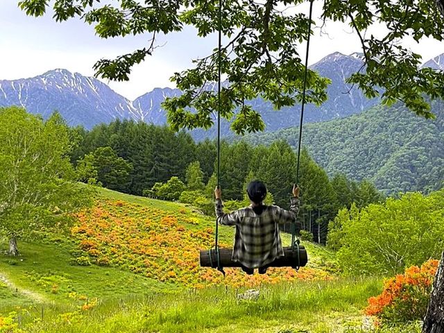 konomi no guide | matsumoto