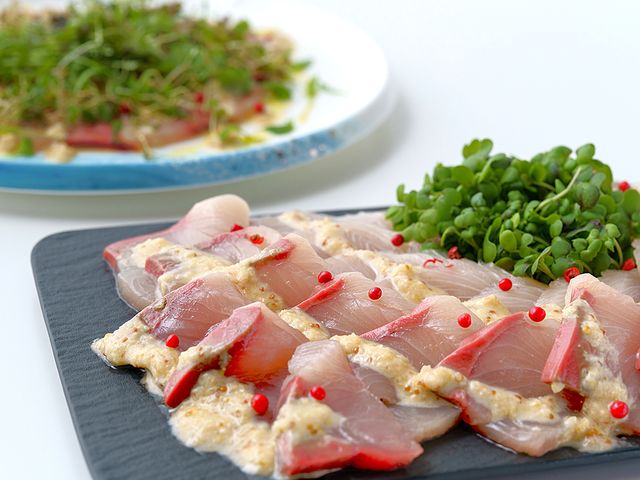 yJpb`zVNȊÂۗ؂ґȈiB_v~Aze|CABIN PRESIDENT|