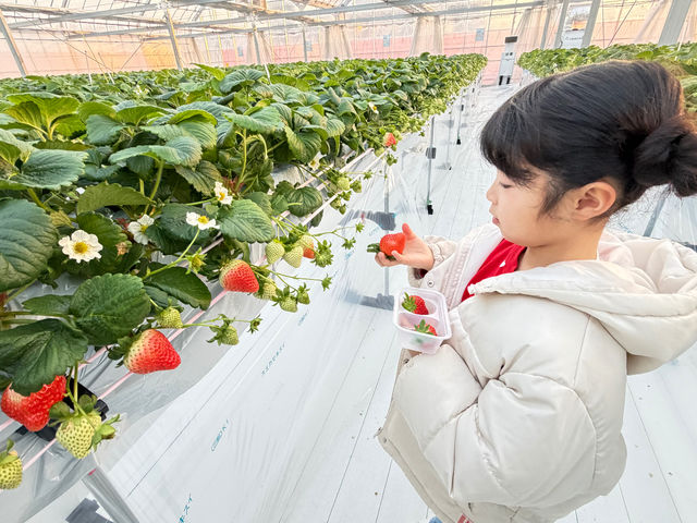 �~�Y�L�t�@�[����䉏