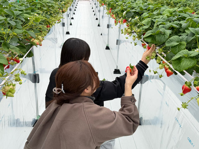 �~�Y�L�t�@�[����䉏