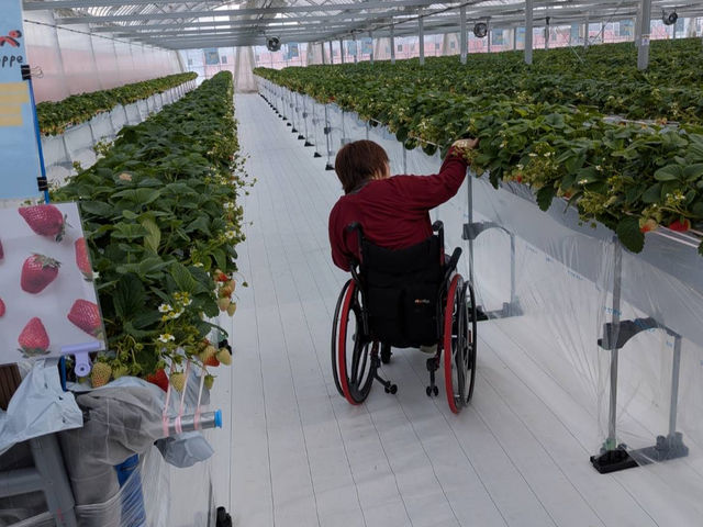 �Ԉ֎q�p�ʘH������_�~�Y�L�t�@�[����䉏