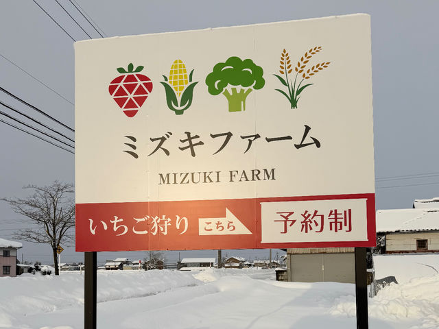 �~�Y�L�t�@�[����䉏