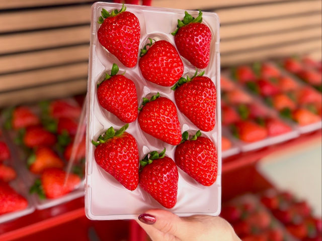 �~�Y�L�t�@�[����䉏