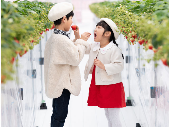 �~�Y�L�t�@�[����䉏