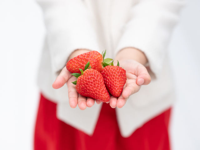 �~�Y�L�t�@�[����䉏