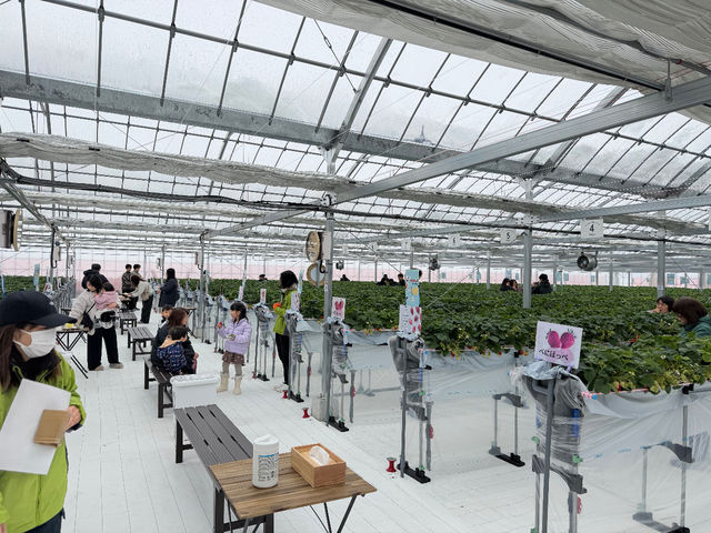 �~�Y�L�t�@�[����䉏