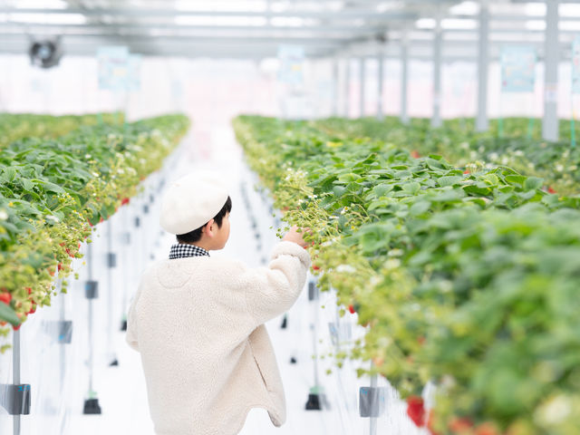 �~�Y�L�t�@�[����䉏