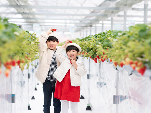 �~�Y�L�t�@�[����䉏