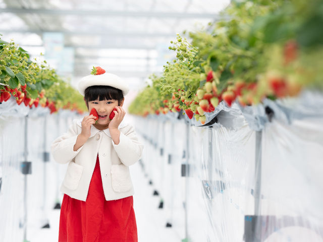 �~�Y�L�t�@�[����䉏