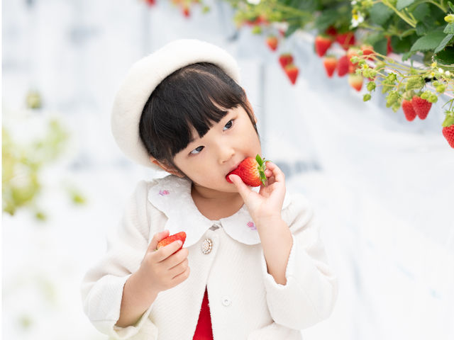 �~�Y�L�t�@�[����䉏�̎ʐ^1